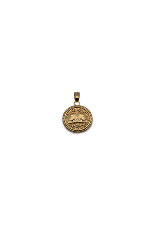 Zodiac Medallion Charm