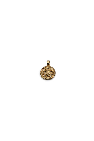 Zodiac Medallion Charm