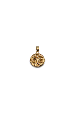 Zodiac Medallion Charm